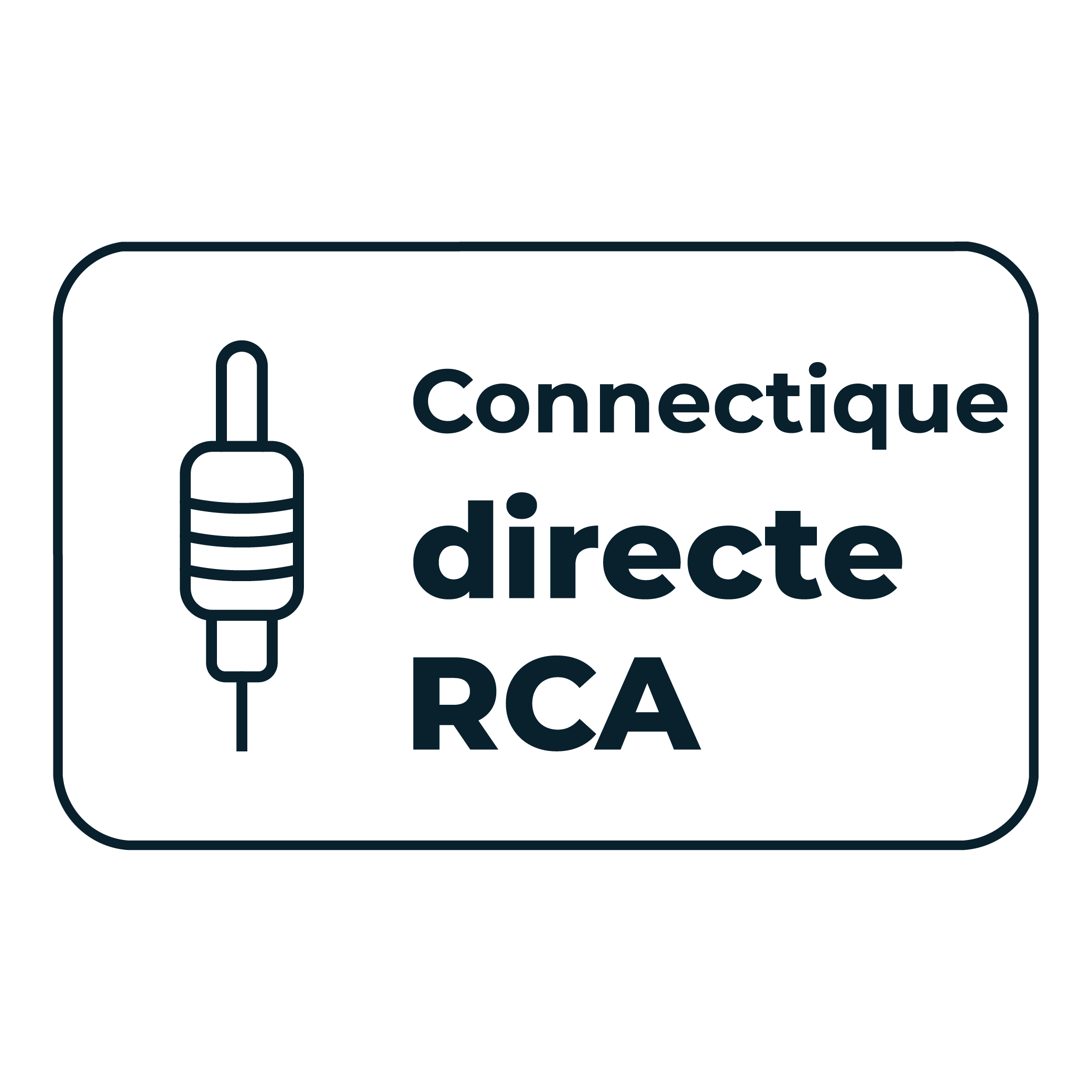 Connectique directe RCA, idéal pour se conencter à un autoradio de seconde monte