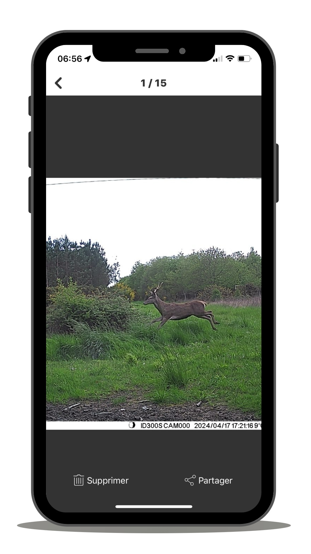 Capture photo de la caméra de surveillance ID300S sur un téléphone