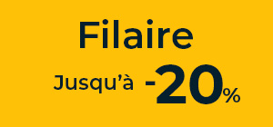 Caméras filaires en promotion
